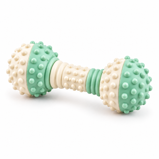 Orbit Bounce Textured Dumbbell Dog Toy